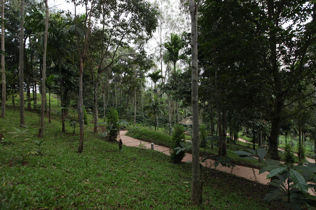 The Woods Resorts Wayanad Sultan Bathery Exterior foto