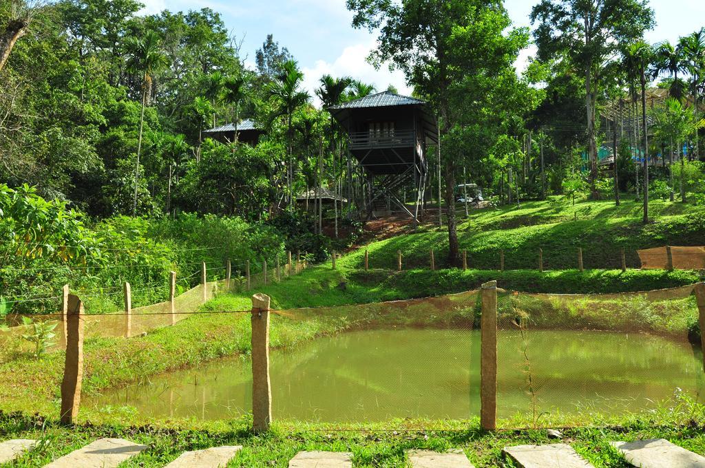 The Woods Resorts Wayanad Sultan Bathery Exterior foto
