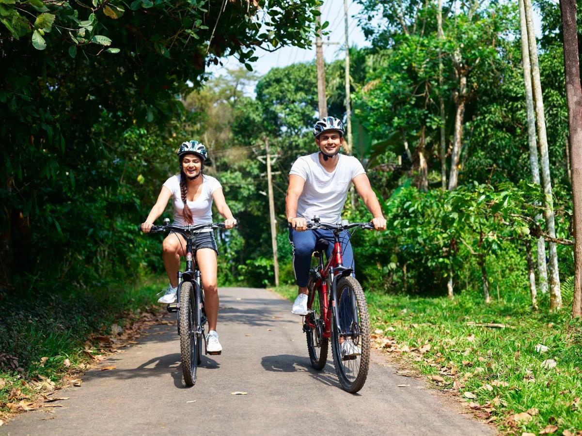 The Woods Resorts Wayanad Sultan Bathery Exterior foto