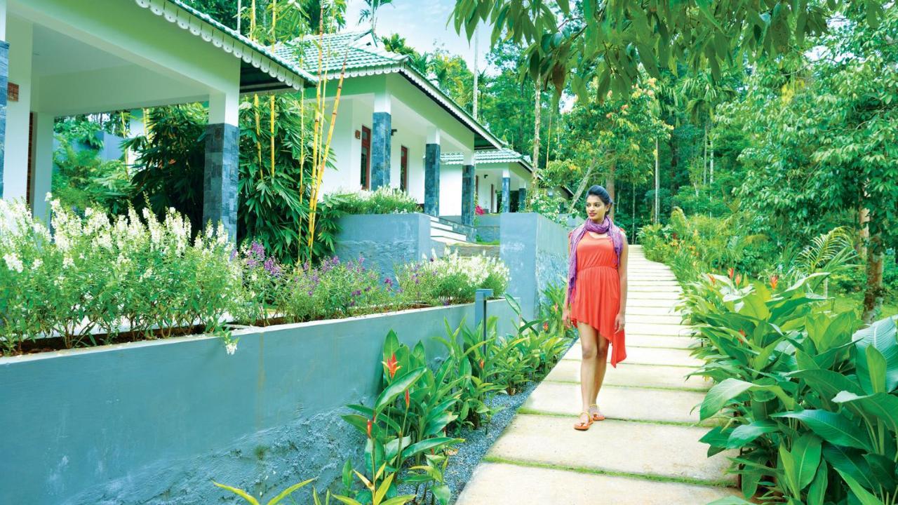 The Woods Resorts Wayanad Sultan Bathery Exterior foto