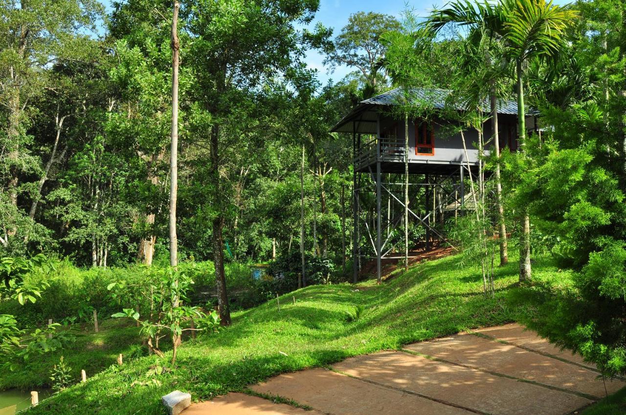 The Woods Resorts Wayanad Sultan Bathery Exterior foto