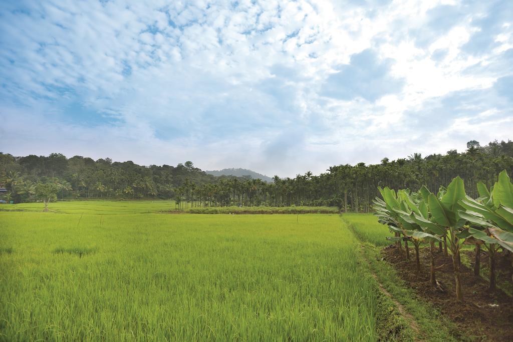 The Woods Resorts Wayanad Sultan Bathery Exterior foto