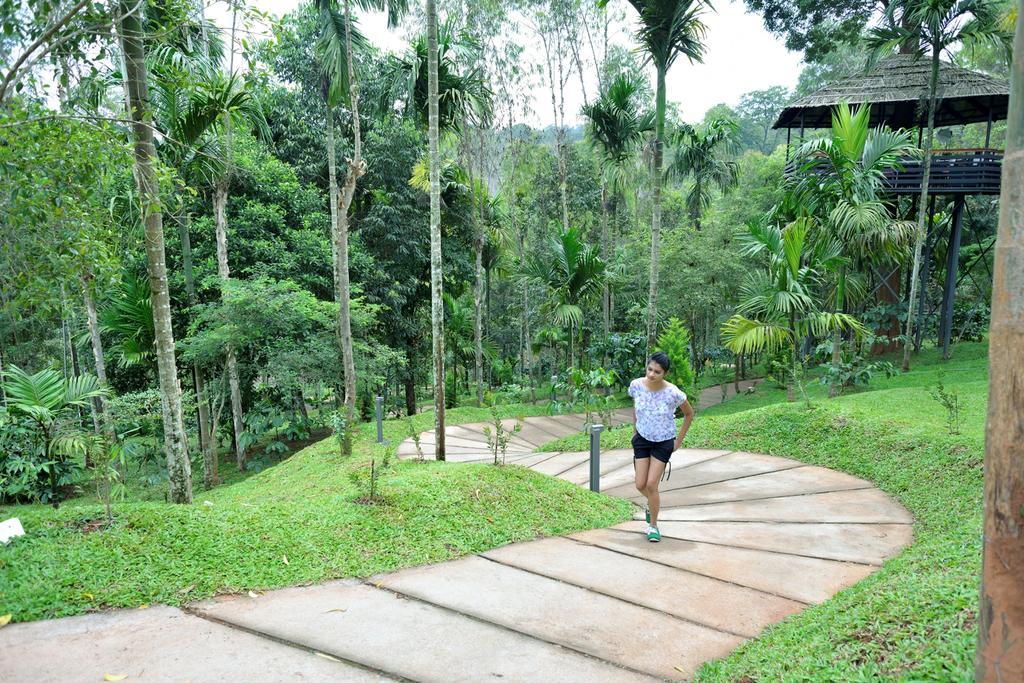 The Woods Resorts Wayanad Sultan Bathery Exterior foto