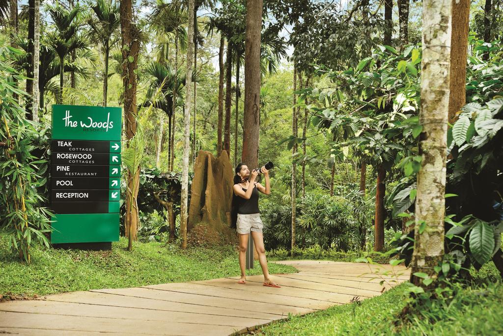 The Woods Resorts Wayanad Sultan Bathery Exterior foto