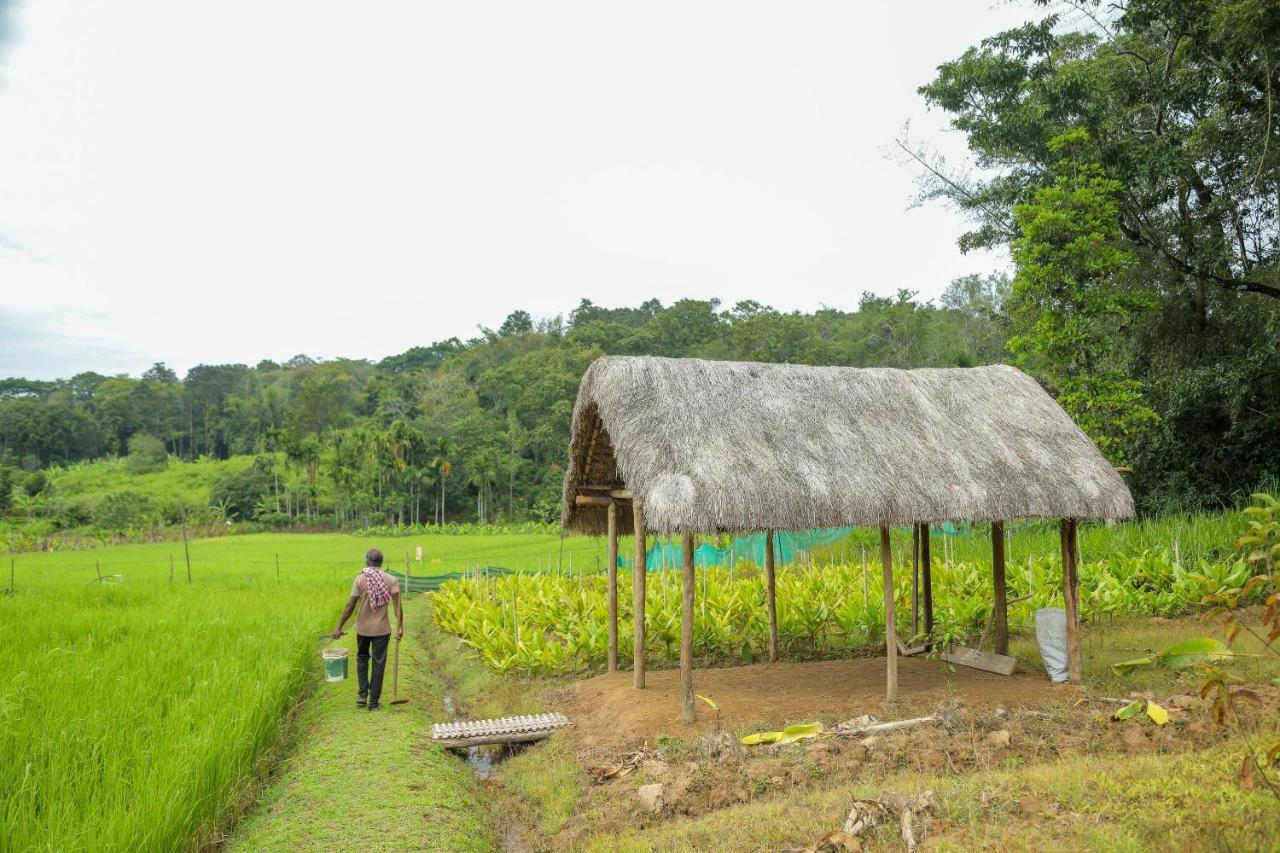 The Woods Resorts Wayanad Sultan Bathery Exterior foto