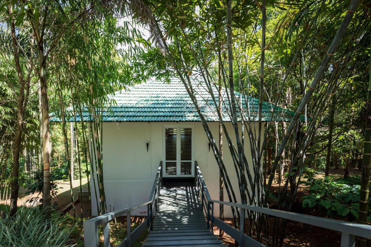 The Woods Resorts Wayanad Sultan Bathery Exterior foto